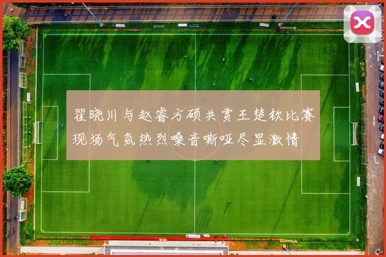 翟晓川与赵睿方硕共赏王楚钦比赛现场气氛热烈嗓音嘶哑尽显激情