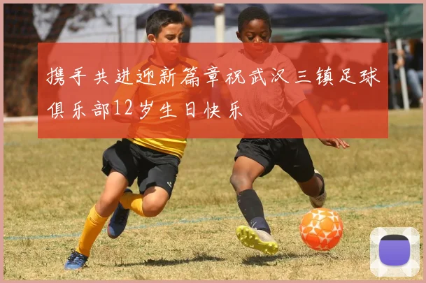 携手共进迎新篇章祝武汉三镇足球俱乐部12岁生日快乐