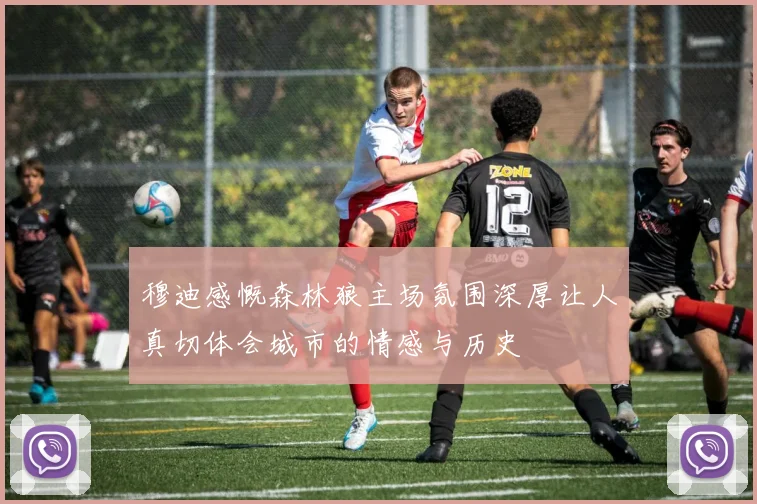 穆迪感慨森林狼主场氛围深厚让人真切体会城市的情感与历史